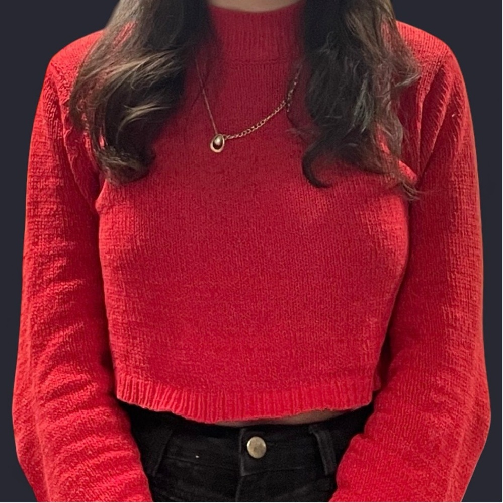 Wild Fable Red Sweater